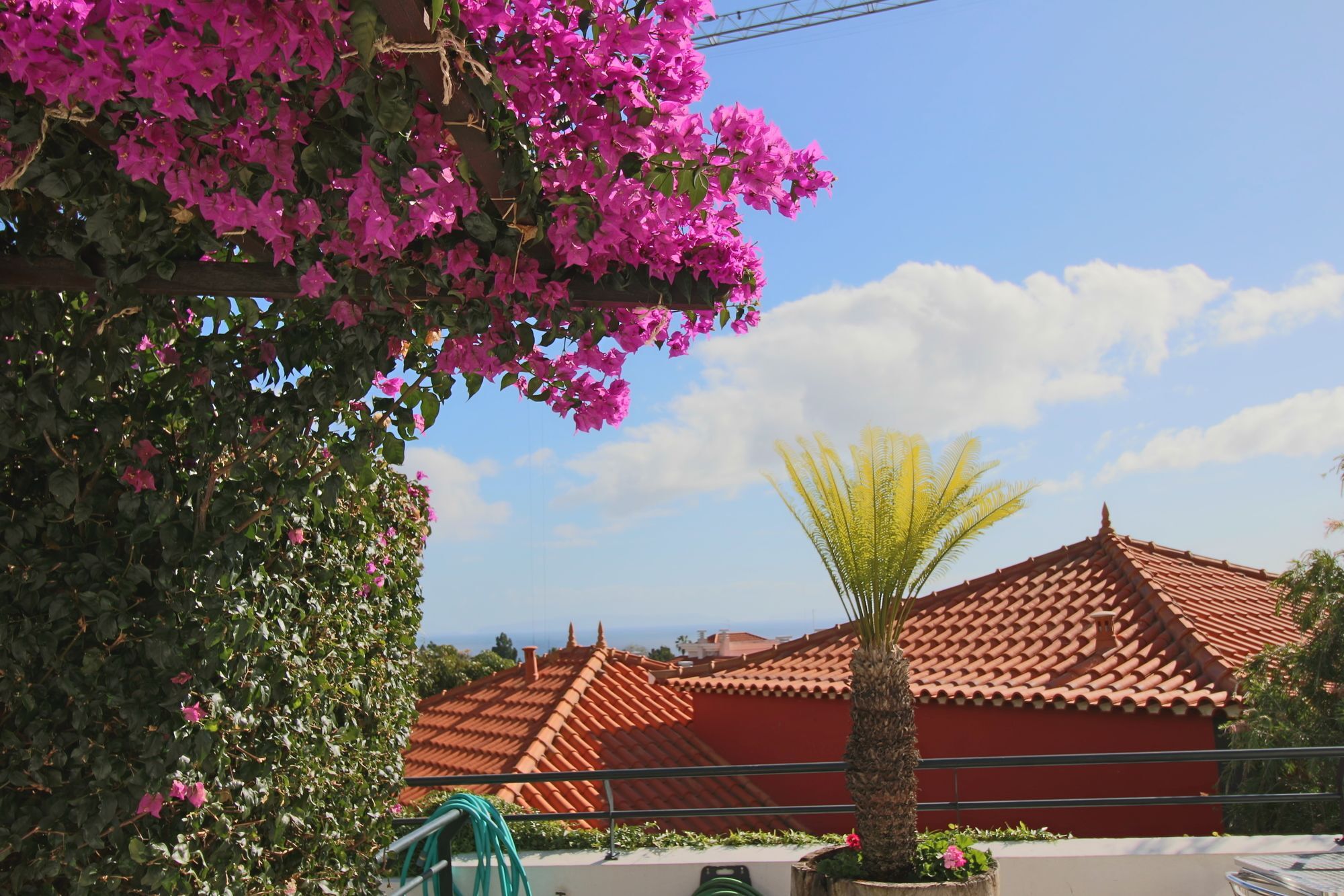 Guesthouse Vila Lusitania Funchal  Exterior foto